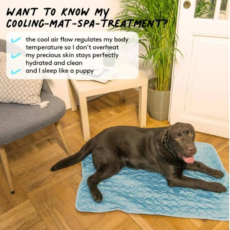 Die Ultimative Kühlende Hausti – Cooling Blanket Hot Sleepers Bewertung und Preis